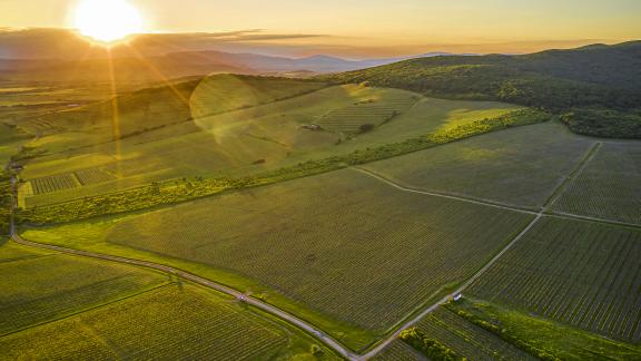 TOKAJ & CO - vinohrady